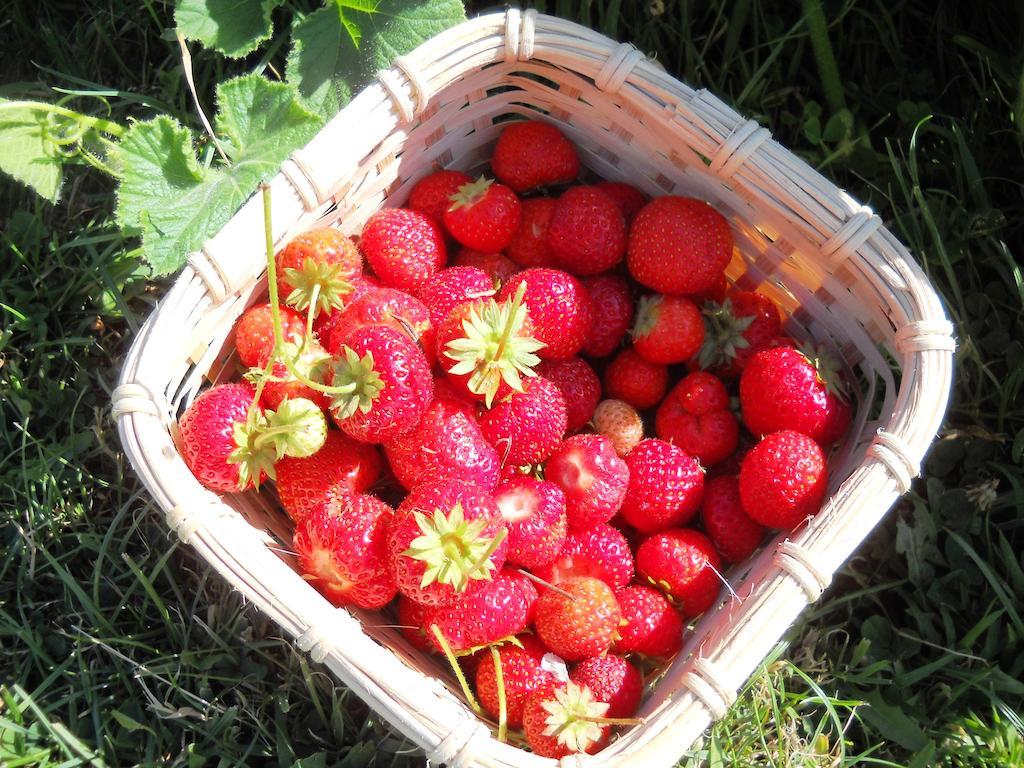 Johanna River Farm & Cottages エクステリア 写真