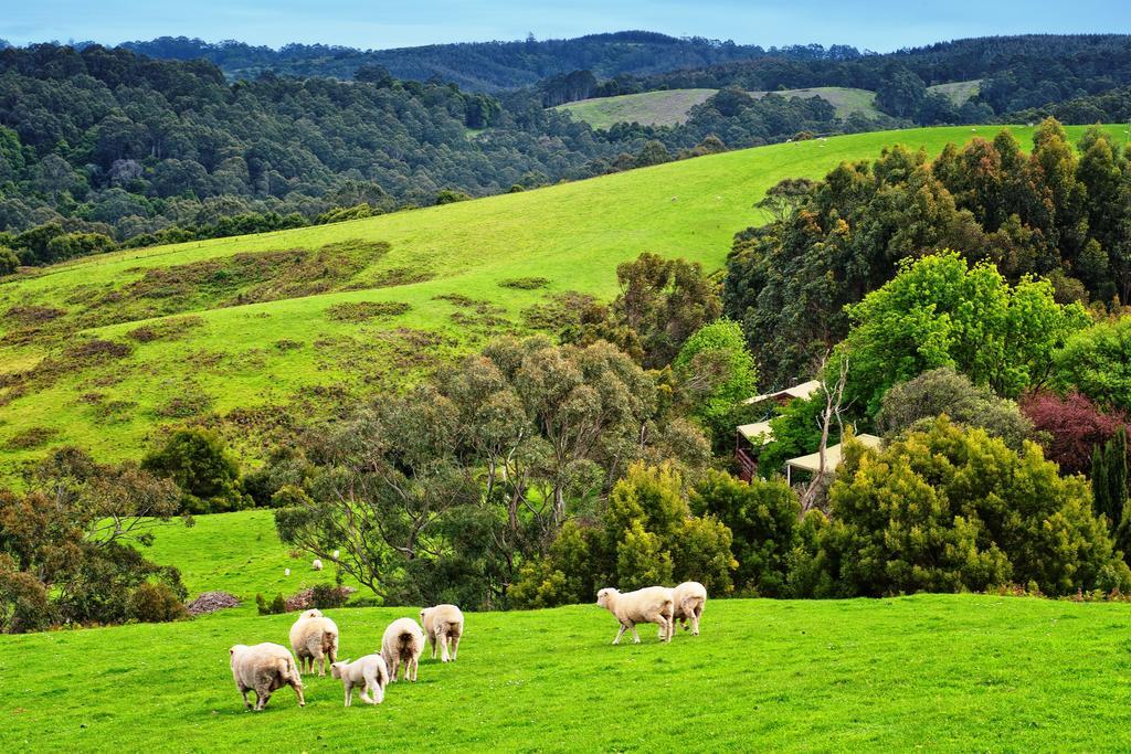 Johanna River Farm & Cottages エクステリア 写真