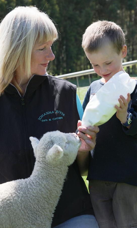 Johanna River Farm & Cottages エクステリア 写真